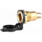 DIN-PISTORAJA 12/24V 15A CARMOTION