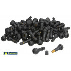 TL-VALVE V2-03-1 / TR413. ASSEMBLED. 100PCS (WONDER AM/1213AM) L=35/42.5MM