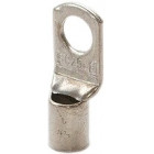 CILPA TERMINĀLS 25X8