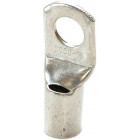 CILPA TERMINĀLS 50X10