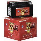 BANNER BATTERY BIKE BULL 18AH YTX20L-BS AGM 250A 175X87X155