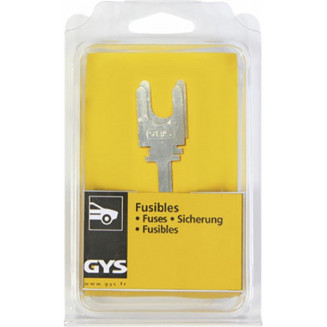 2 X 250A FUSES BLISTER GYS, GYS055568