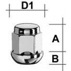 NUT PKM12X1.25/30/19 (CLOSE. P30. CH19) (PK/R12) INOX HEAD