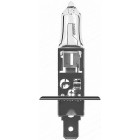 12V H1 Polttimo 55W P14.5S FS1 NEOLUX