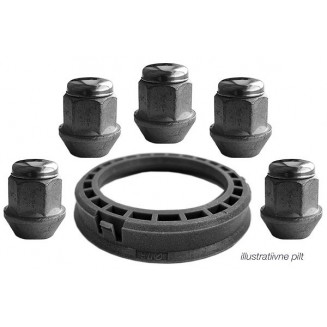 KIT RONAL (ANELLO RACCORDO 82.0-64.1 1 PZ.) + (M14X1,5/30/19,5 PZ.), RZP51181