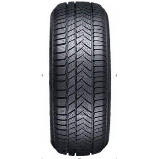 195/55R16 Winrun Winter-maX  A1 WR22, 8716WI